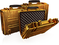 Case